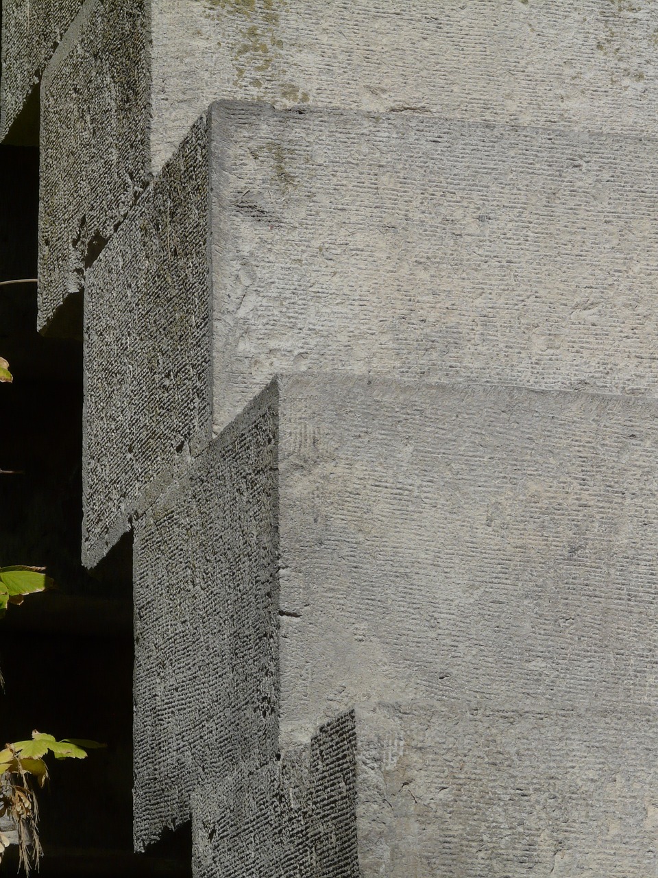 精舞門(mén)最新動(dòng)態(tài)，潮流引領(lǐng)，獨(dú)特魅力展現(xiàn)！