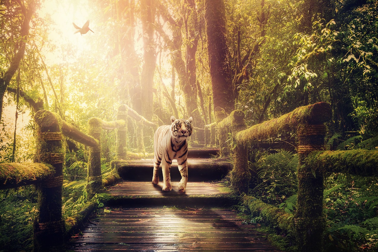 最新章節(jié)奇幻之旅,探索神秘世界的未知奧秘