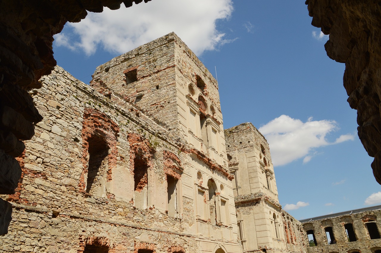 最新選情分析綜述或報告,揭示最新選舉動態