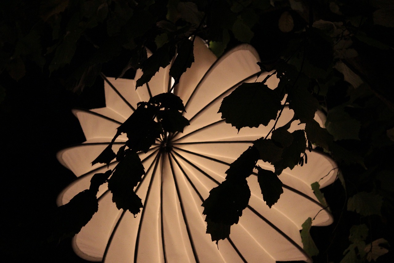 一花琴音最新，音樂與藝術的融合之美探索