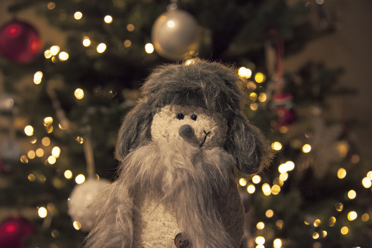 時尚與舒適并重,最新貓咪出裝指南