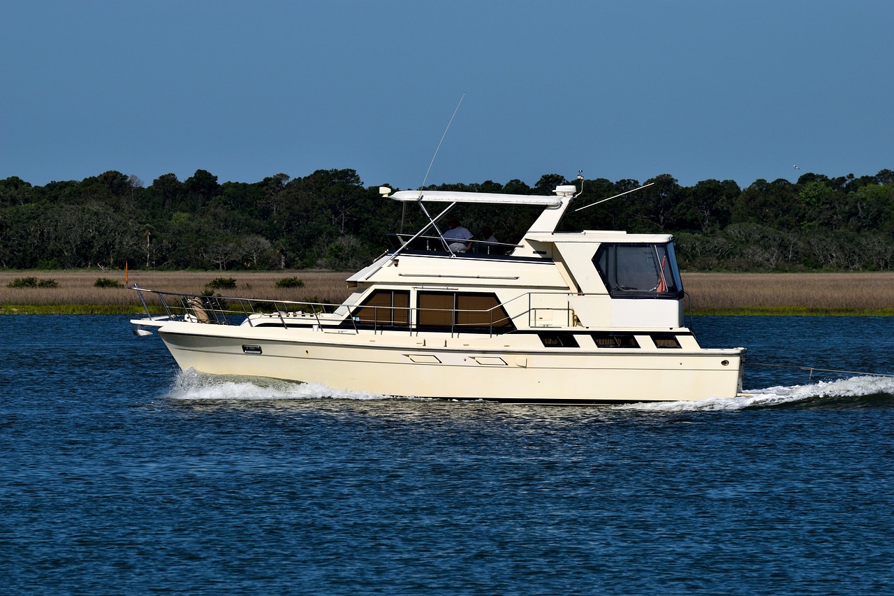 海賊路飛最新動態,熱血航海征程繼續,粉絲期待不已