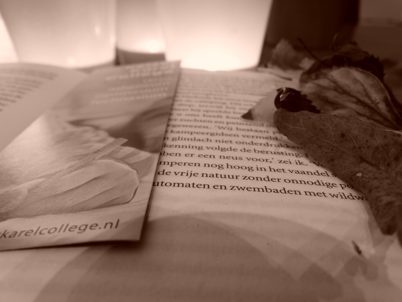 探索文學的新疆界，最新佳作一覽