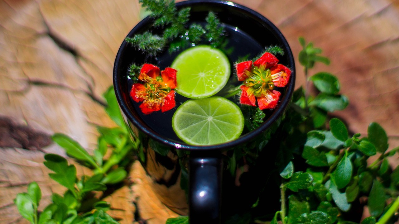 斯黛拉最新動態，引領時尚潮流的新篇章