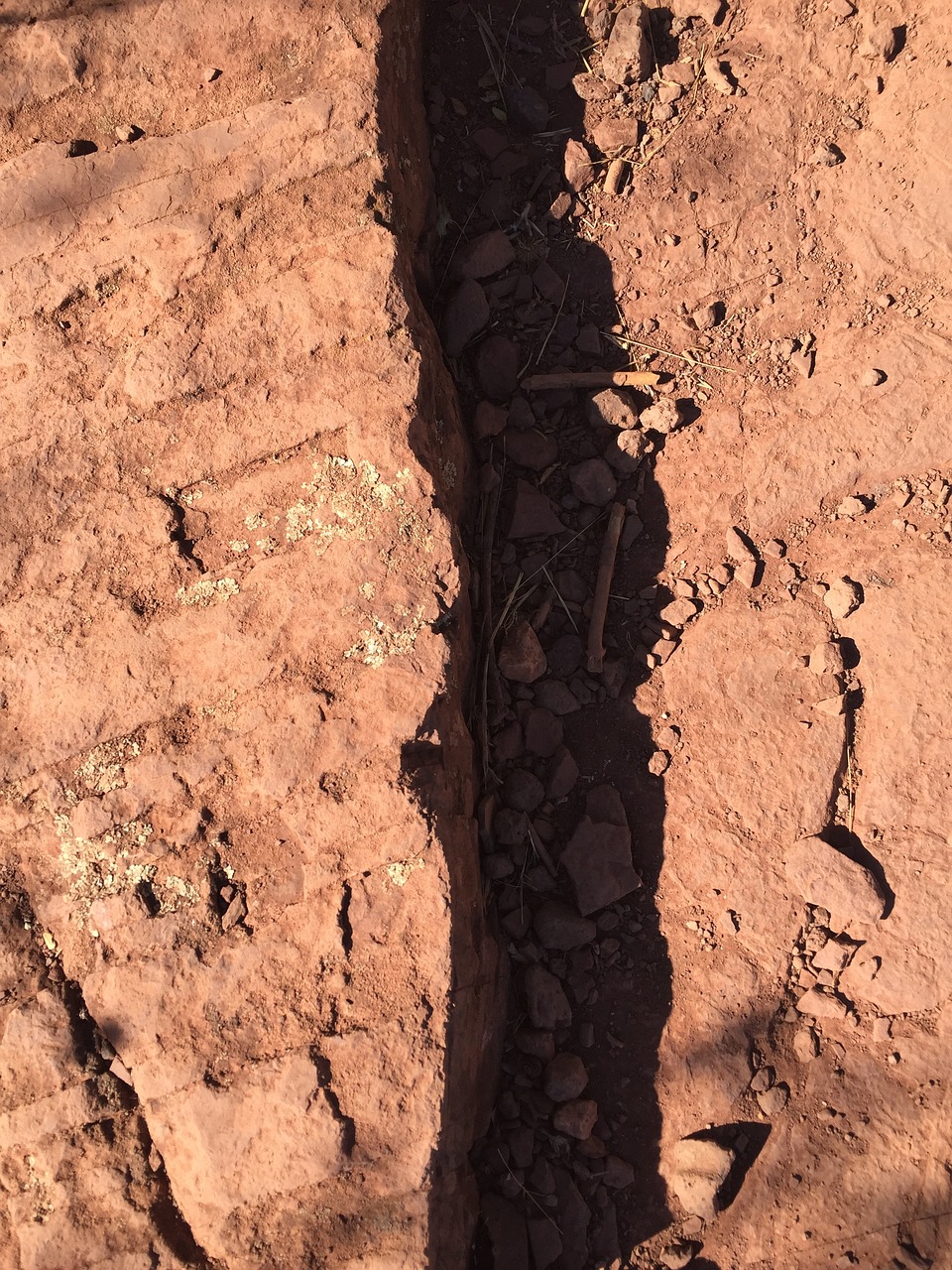 顧元卿最新動態與成就,探索未來無限可能之路