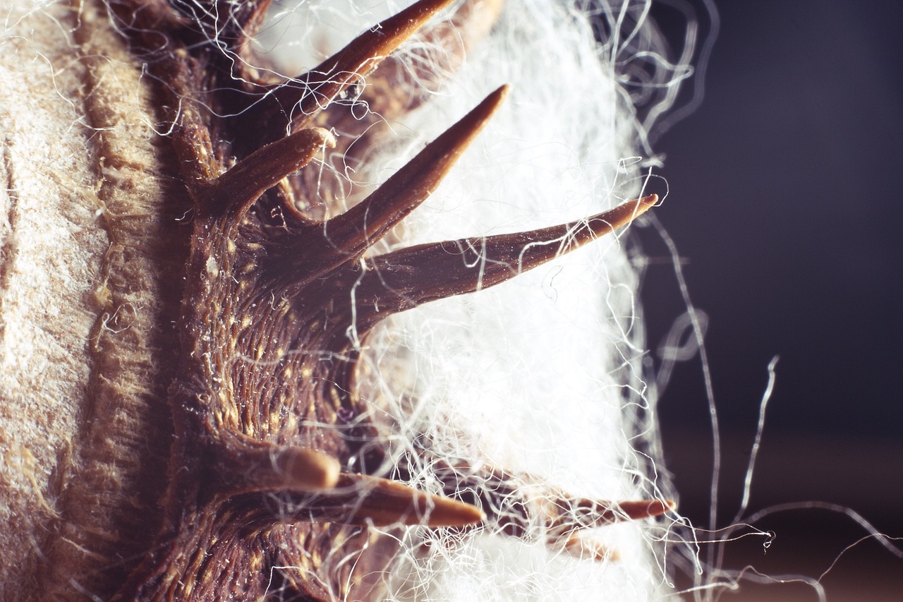 仙宏途最新探索進展，揭開神秘面紗，無限可能展現