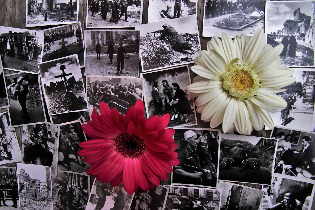 最新抗戰(zhàn)片推薦，銘記歷史，傳承英勇精神