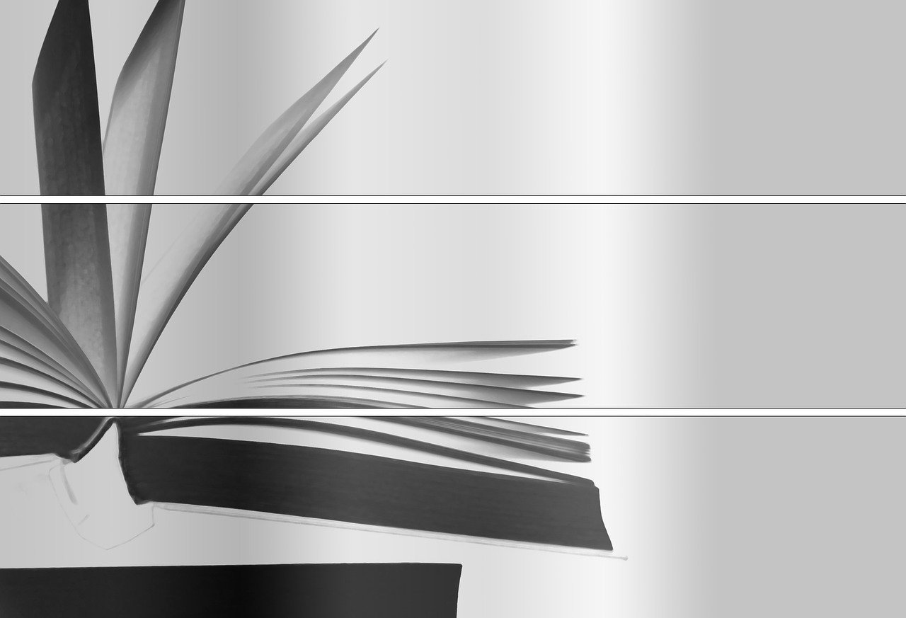 香港最新動態(tài)，繁榮發(fā)展的新時代脈搏