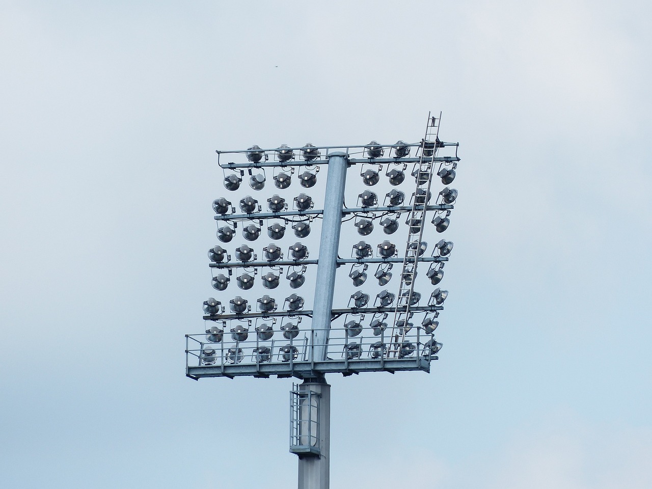 新柳南最新發展動態概覽