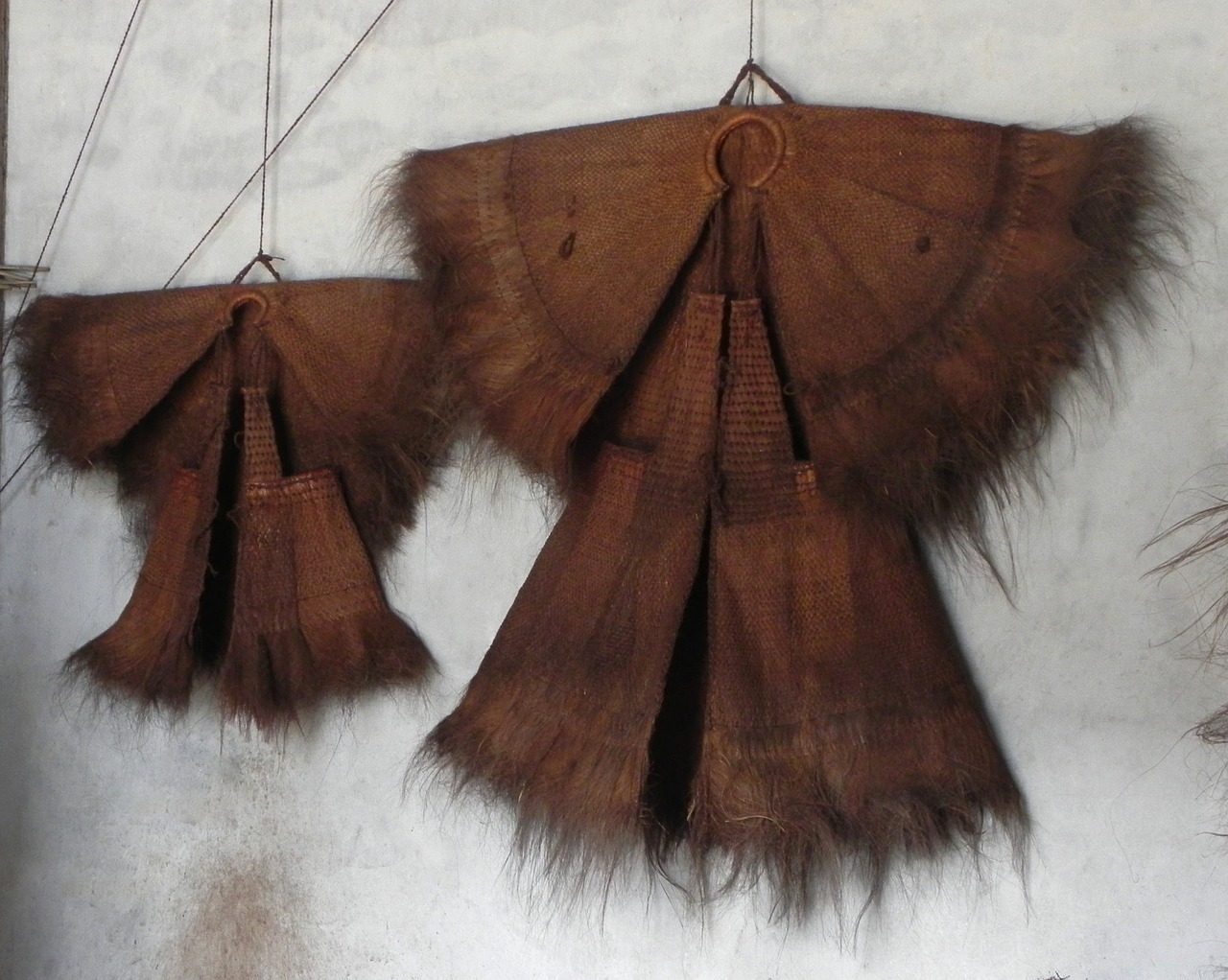 最新竹鼠新聞揭秘,竹鼠產業現狀與未來趨勢展望