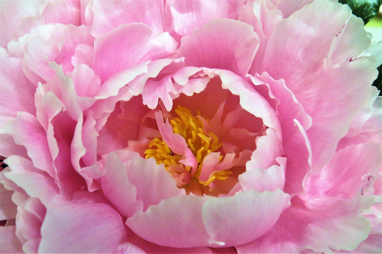 寶雞鳳翔705最新動態揭秘,發展脈絡與展望美好未來