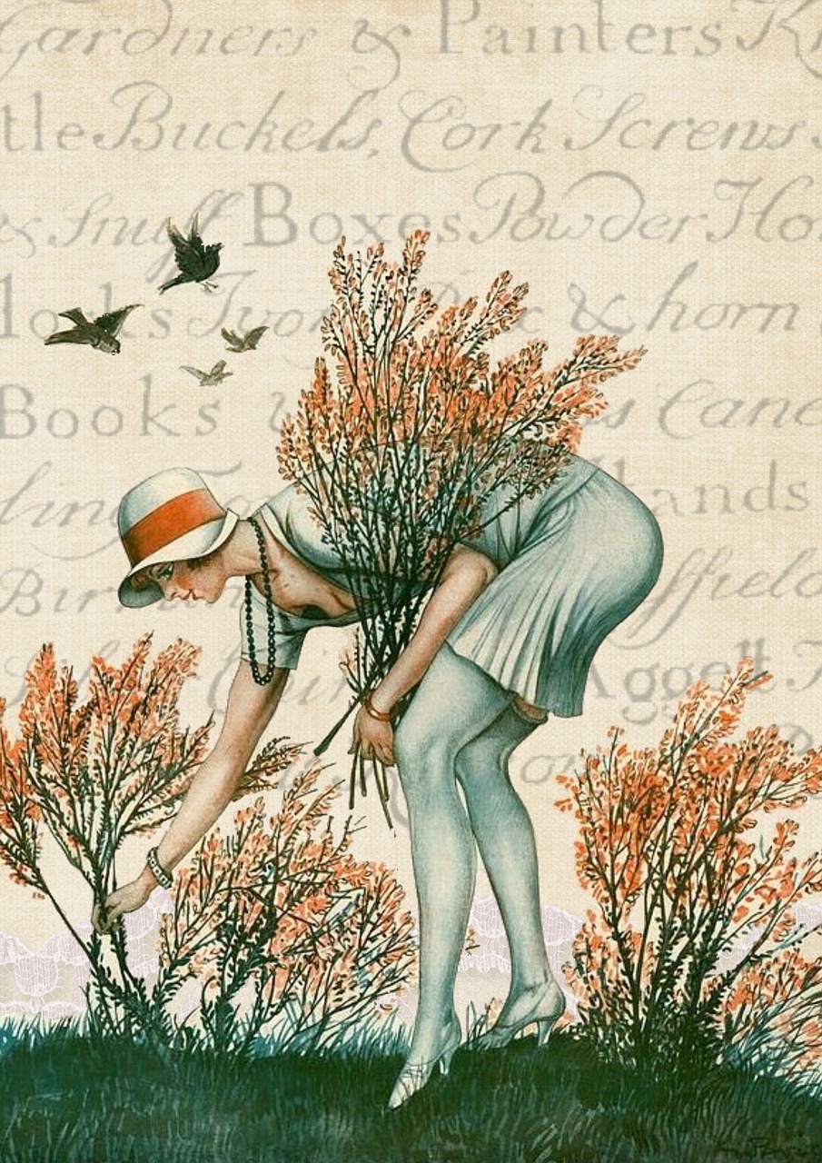 凰鳥離枝 第26頁