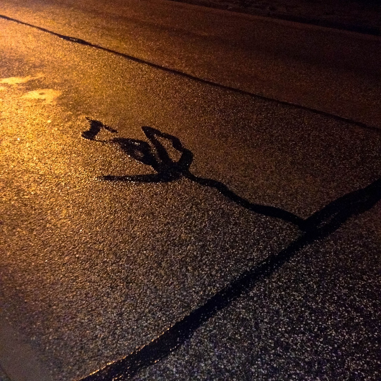 濕樂園最新動態,聚焦健康積極內容,探討現代娛樂業發展趨勢