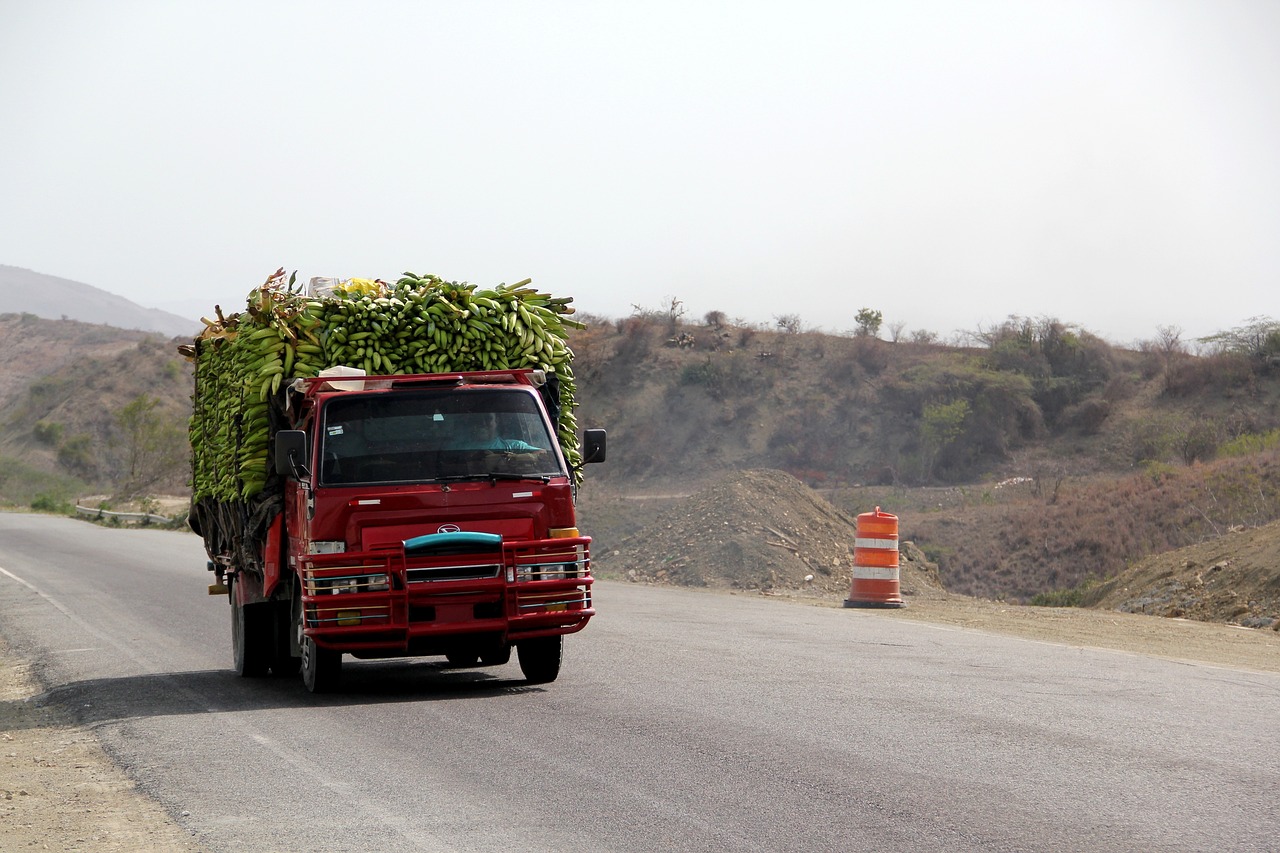 黃口鎮最新發展動態概覽
