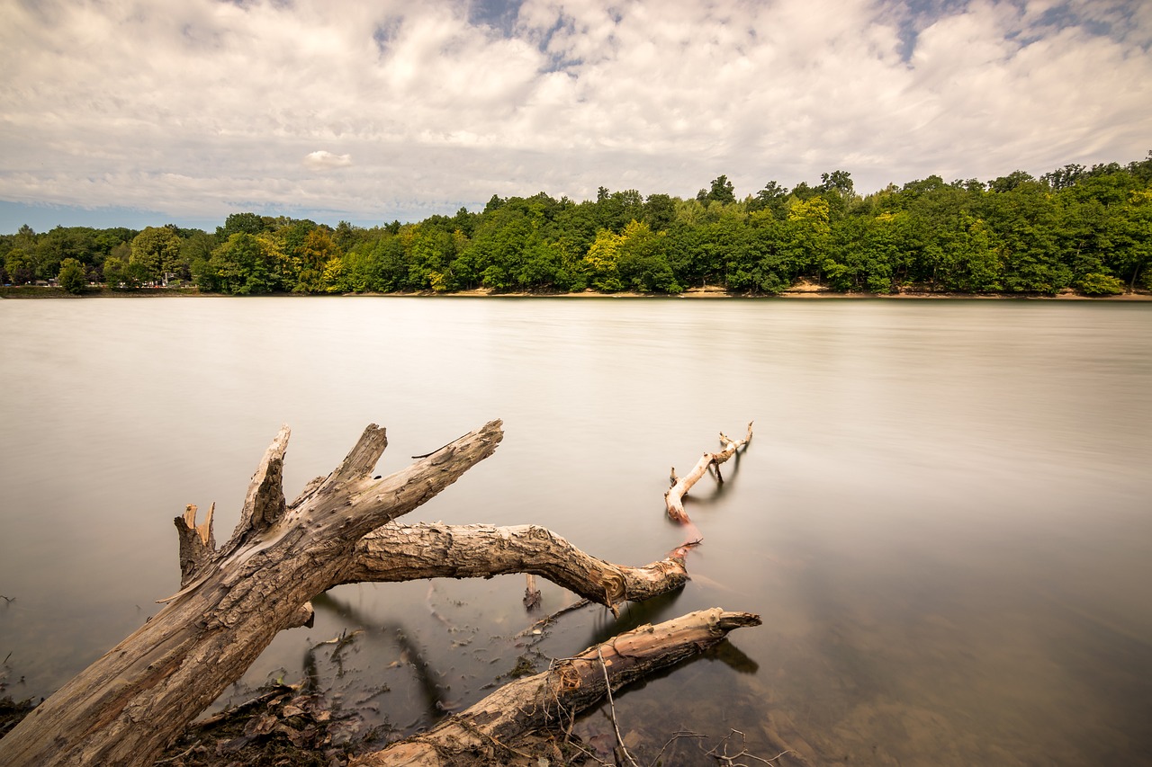七步夏末 第24頁