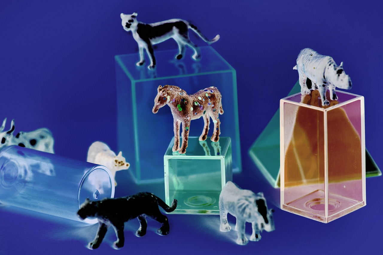 最新娜美玩具,潮流引領(lǐng)者的時尚之選