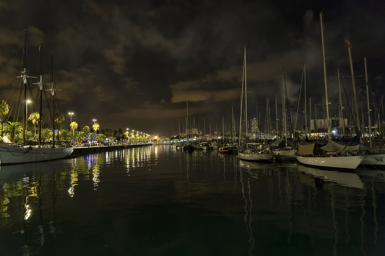 胡一菲最新動態，照亮娛樂圈的新篇章，光芒四射引人矚目