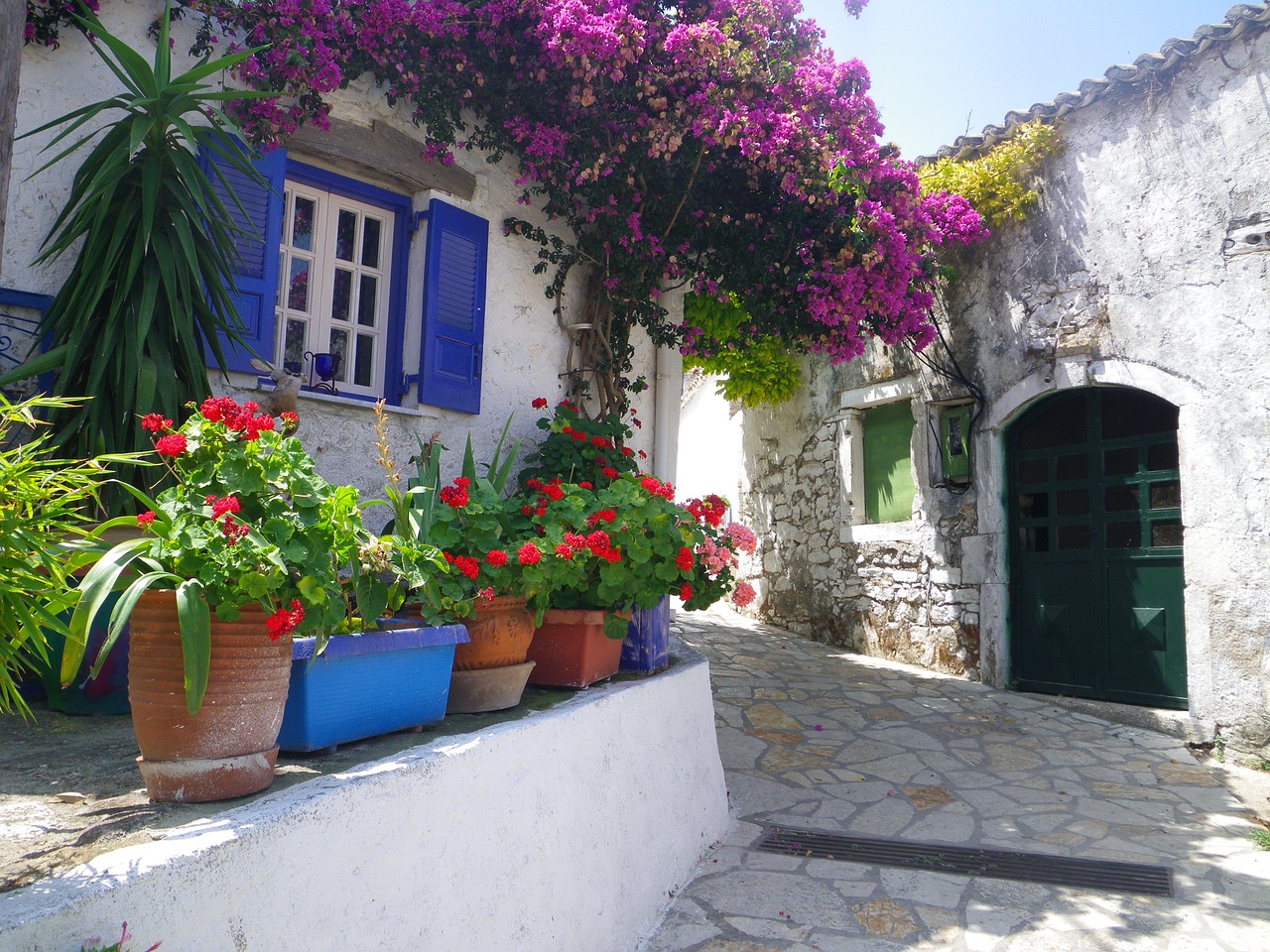 清曉花淺笑 第22頁