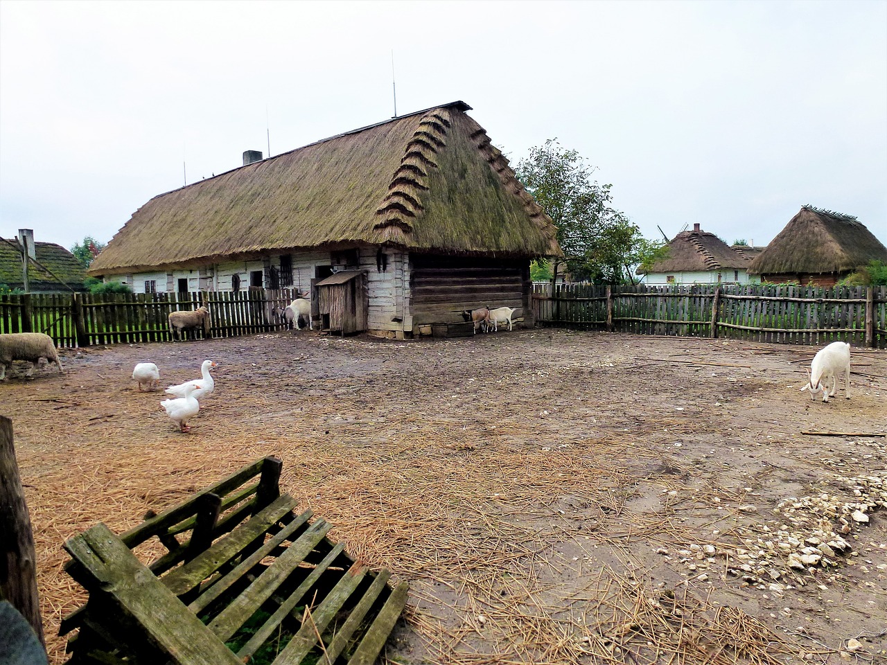 農村拆遷,挑戰與機遇并存的新動態