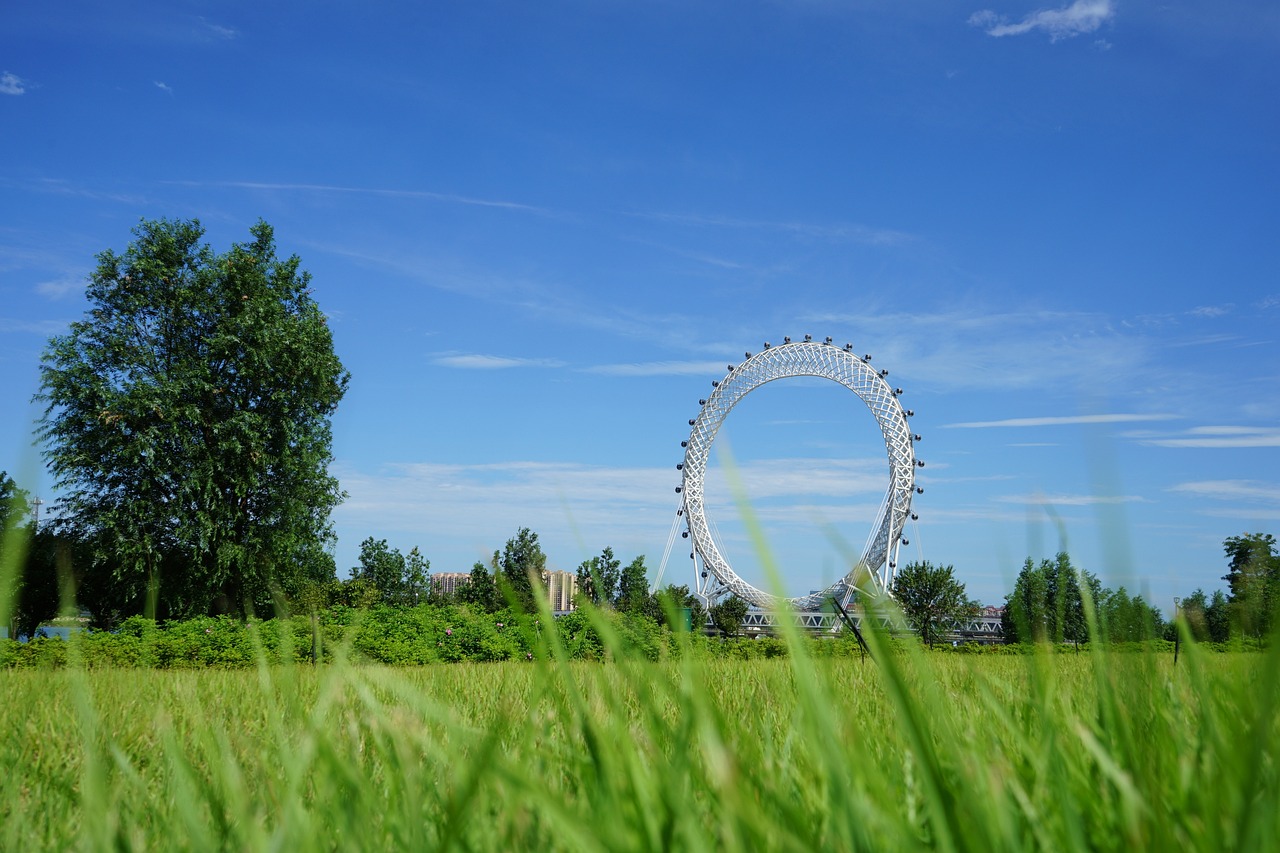 濰坊最新動(dòng)態(tài)，城市新動(dòng)向與發(fā)展藍(lán)圖揭秘