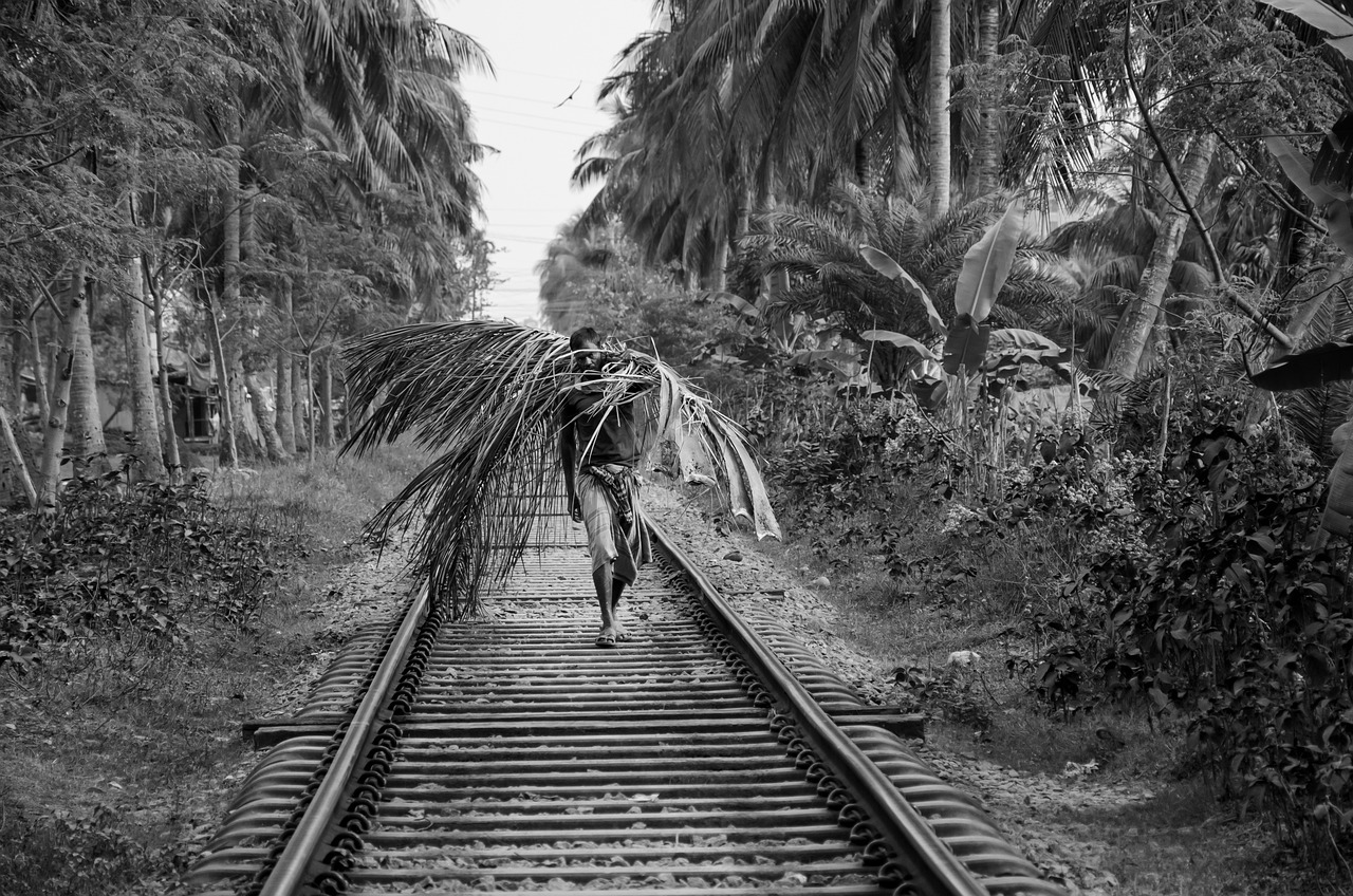 逆境中的堅韌與成長,最新男主受虐故事揭秘