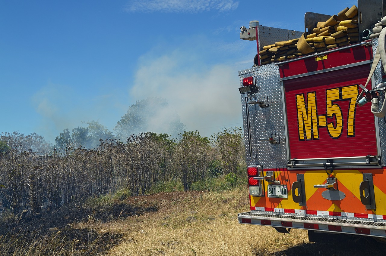 祖山火情最新動態(tài),應(yīng)對挑戰(zhàn),守護綠色家園
