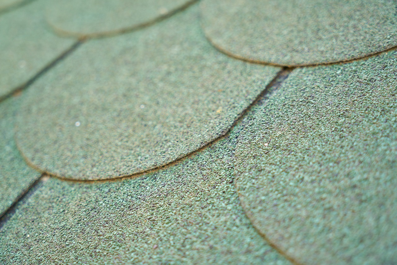 祖山火情最新動態(tài),應(yīng)對挑戰(zhàn),守護綠色家園