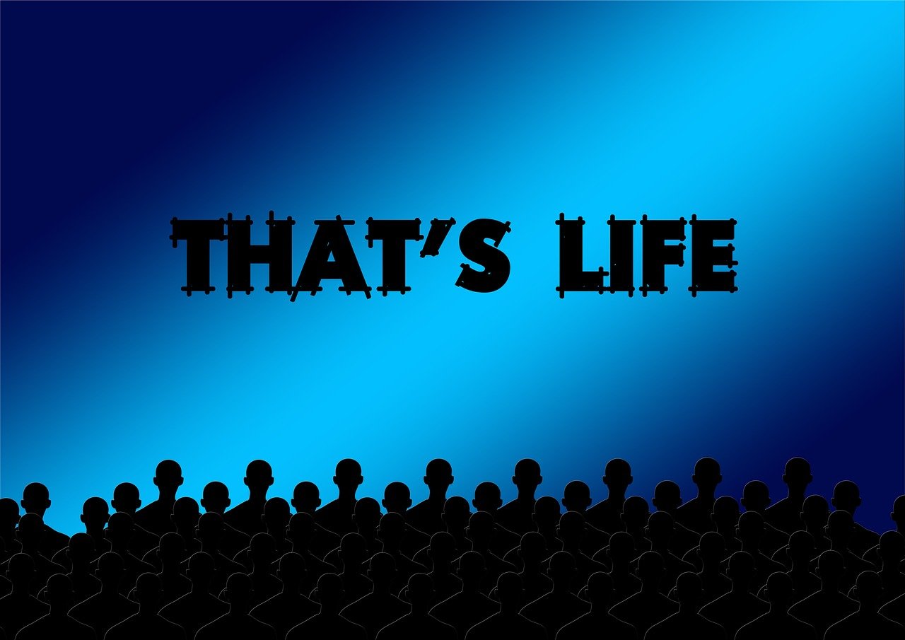 卿已陌上醉 第23頁