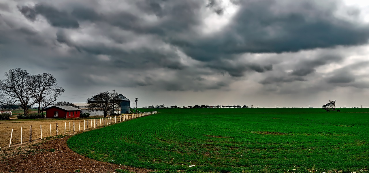 黑霸王牛王最新動態,引領現代農業科技發展的先鋒力量