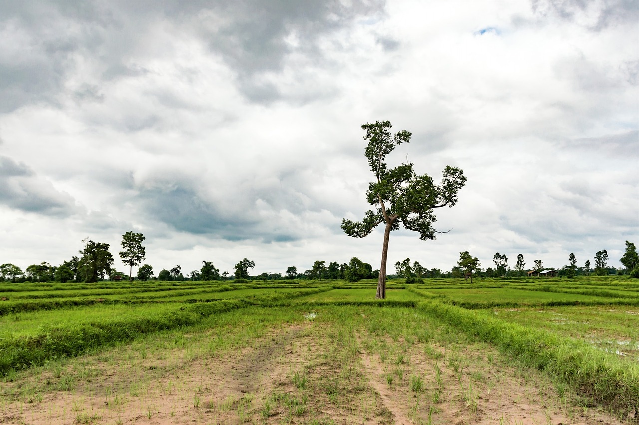 莊園新模式，重塑農業生態與體驗的革命性變革