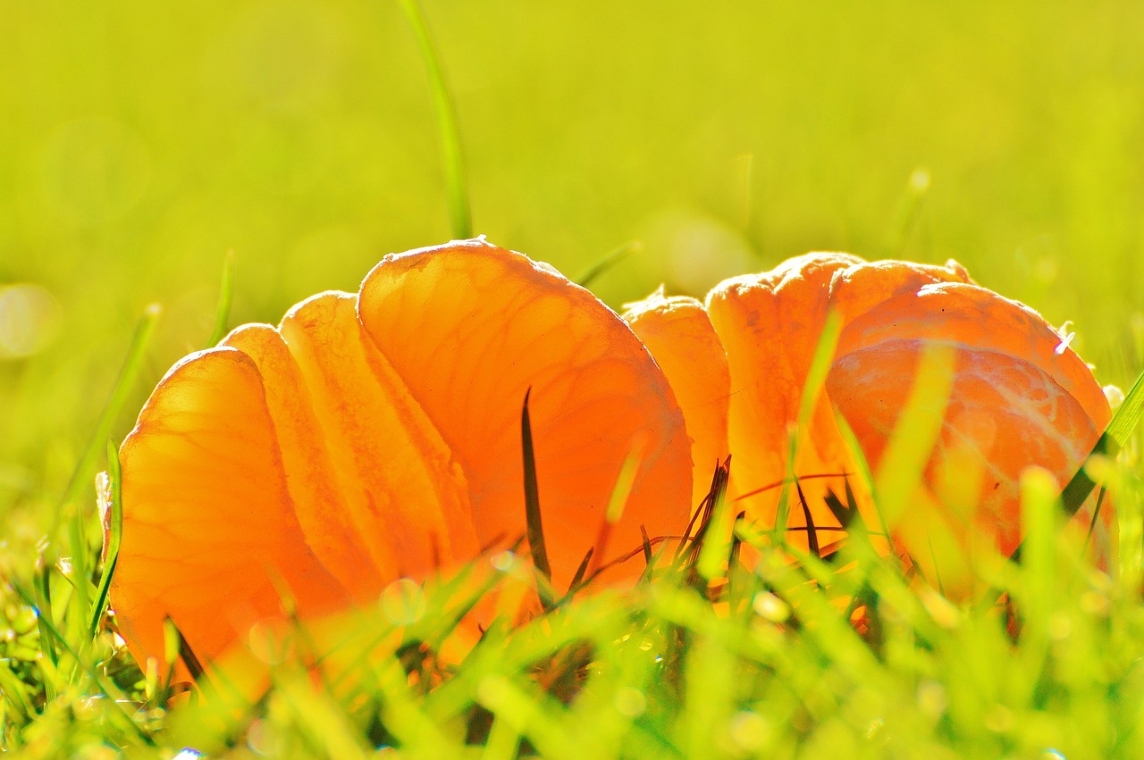 最新P佬源技術深度解析與應用展望，探索前沿技術的前沿動態