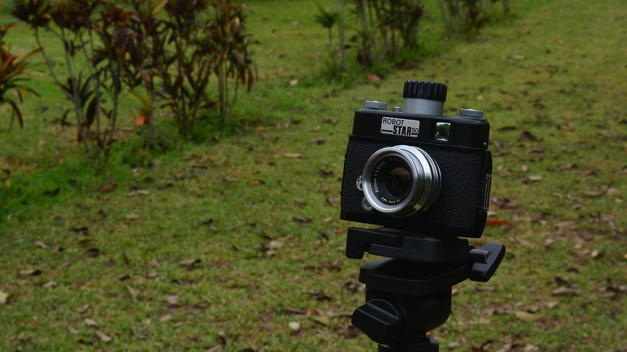 蘇紅珊最新動態(tài),閃耀之星持續(xù)閃耀