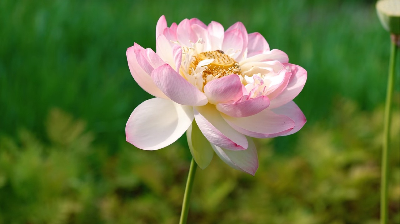 南擴(kuò)區(qū)最新動態(tài)揭秘，未來發(fā)展藍(lán)圖展望