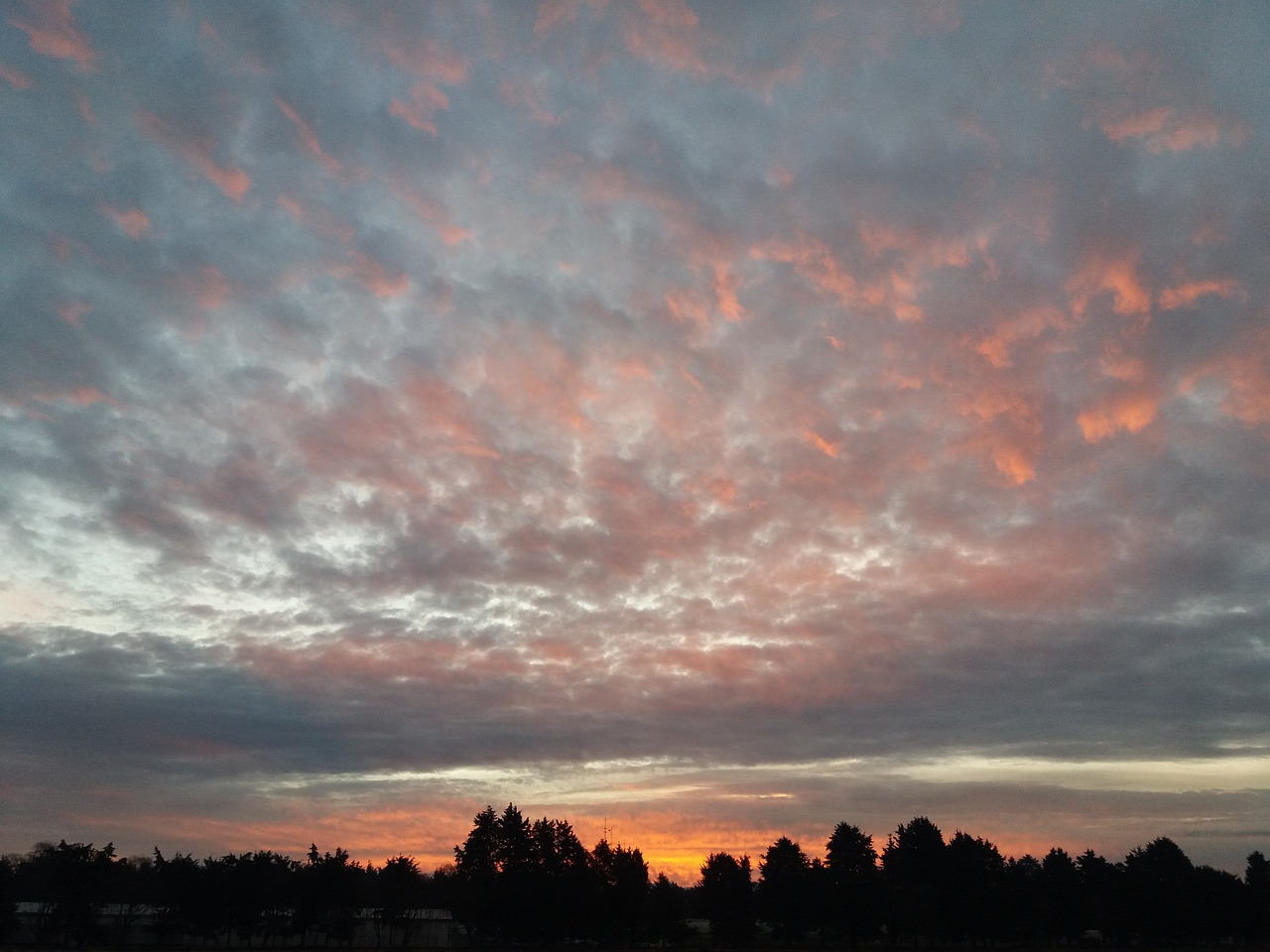 金秋最新圖片，自然之美的視覺盛宴探索