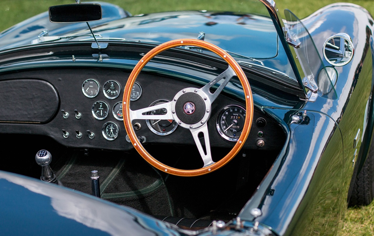 最新菠菜價格動態分析與趨勢預測