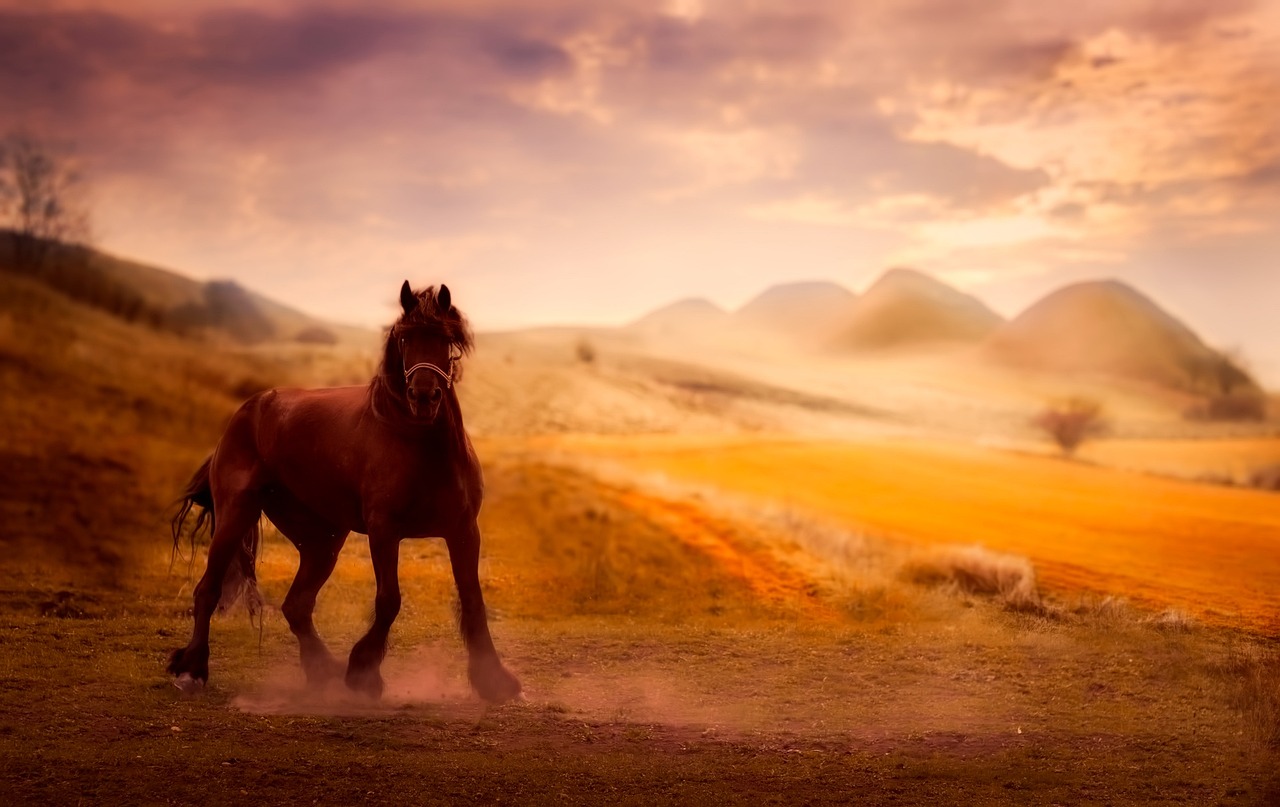 櫻桃小完犢子 第23頁