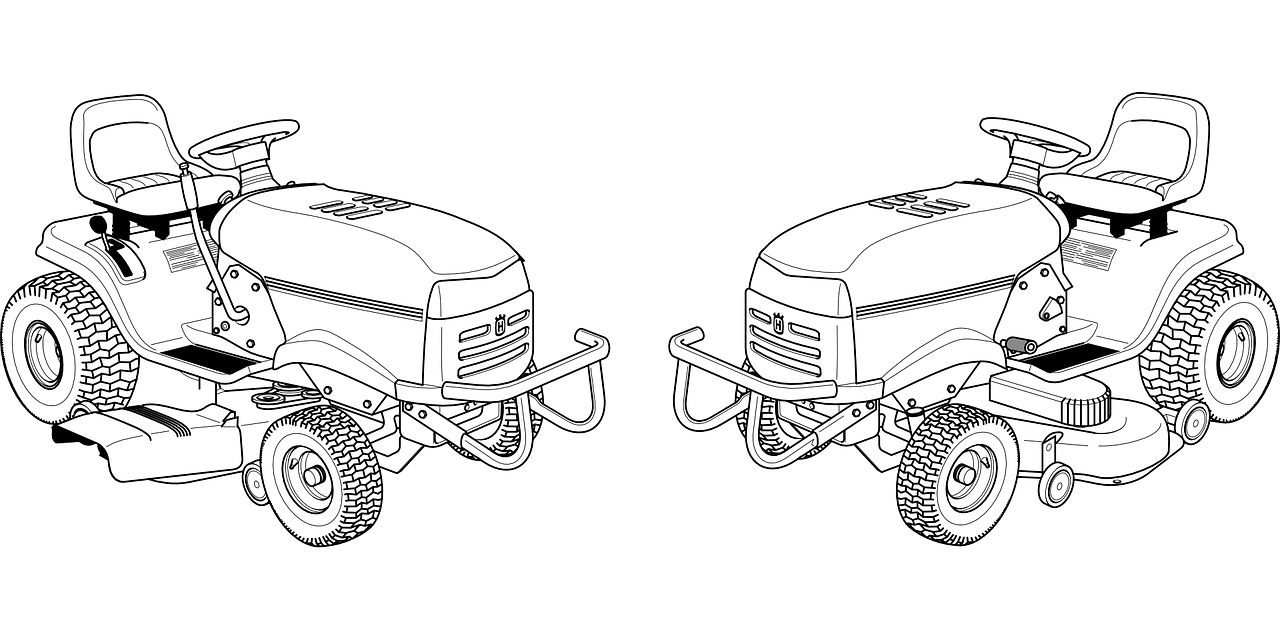 大象保護事業的新進展與挑戰,最新新聞揭示最新動態與面臨的挑戰