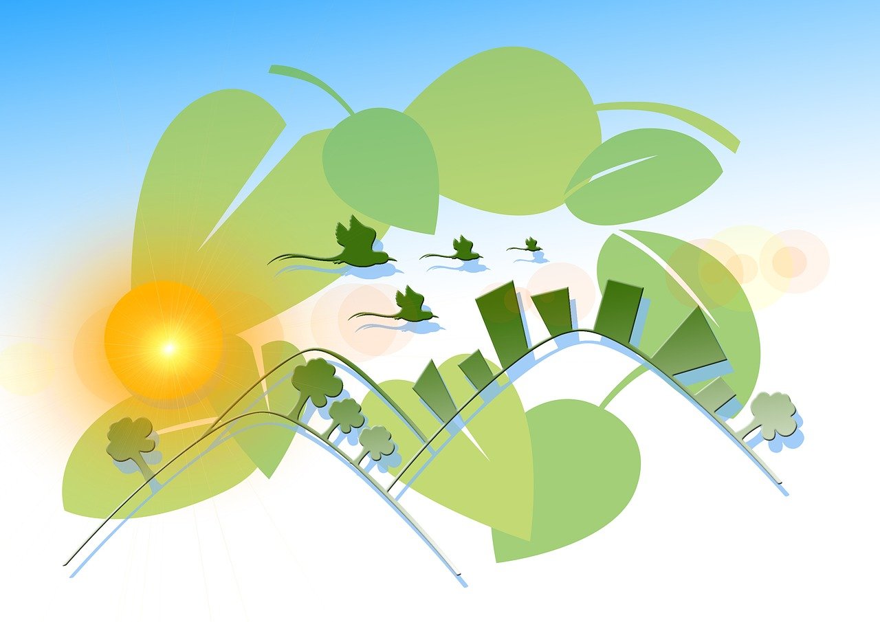 最新野生法,保護自然生態,助力可持續發展