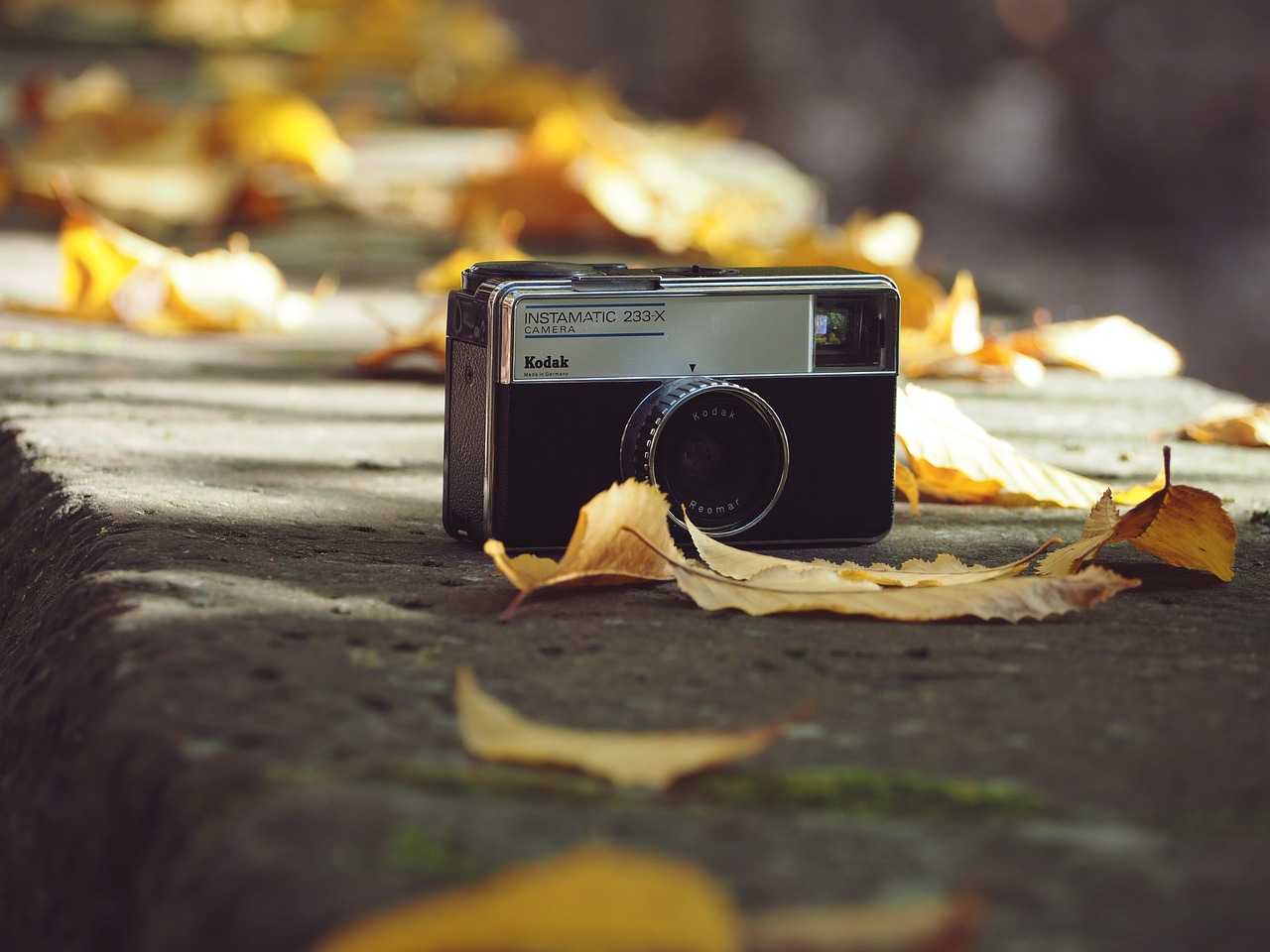 最新情頭頭像流行趨勢,探索個性魅力的風尚之選