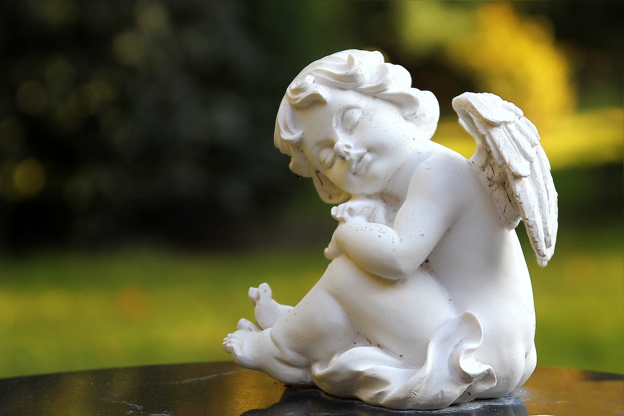 愛威波最新動態，科技前沿與人文關懷的交融