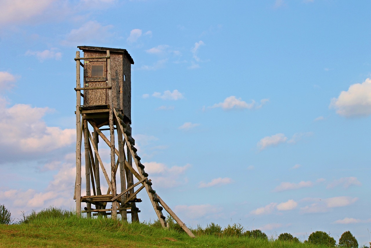 巴西出口繁榮，當前貿易景象與未來展望