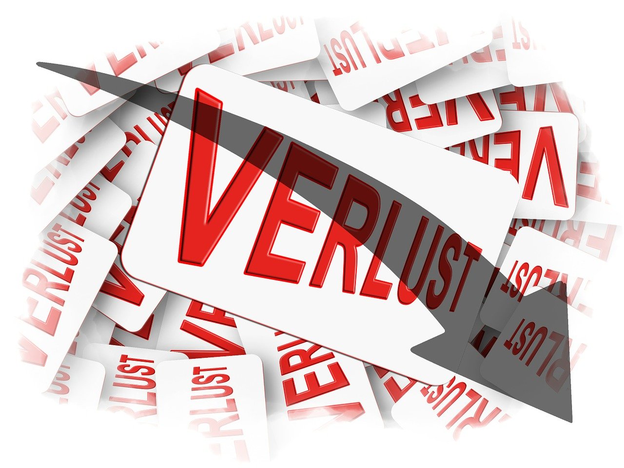 白菜今日最新價格，市場走勢分析與預測報告