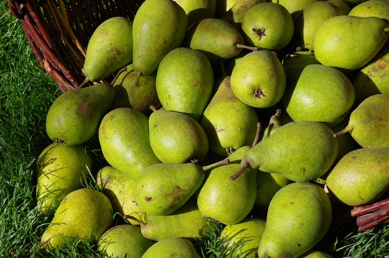 周口高鐵最新動態，邁向高速發展的新時代