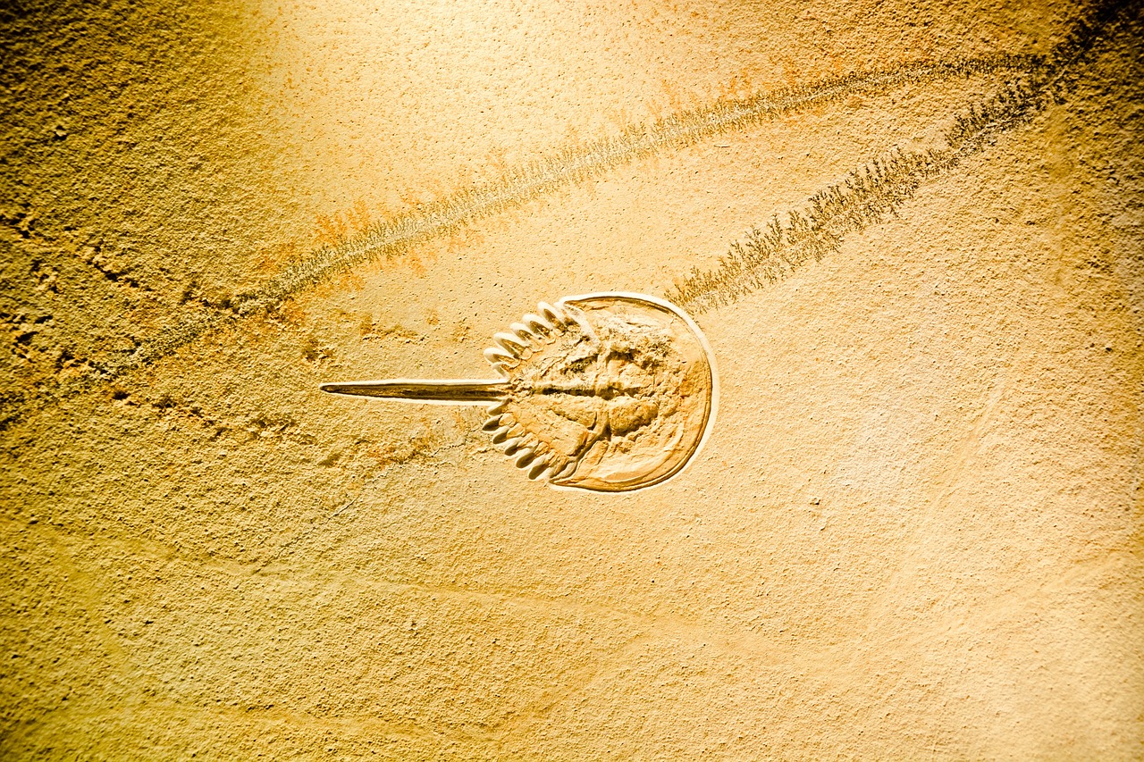 秦衛江最新動態，展現新時代的領導力與擔當典范