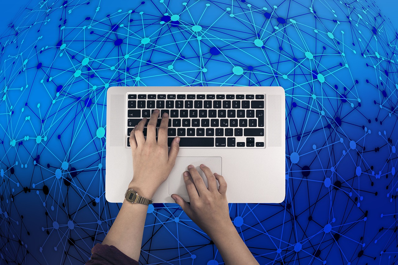 雙十一最新銷量揭秘,購物狂歡的數(shù)字奇跡