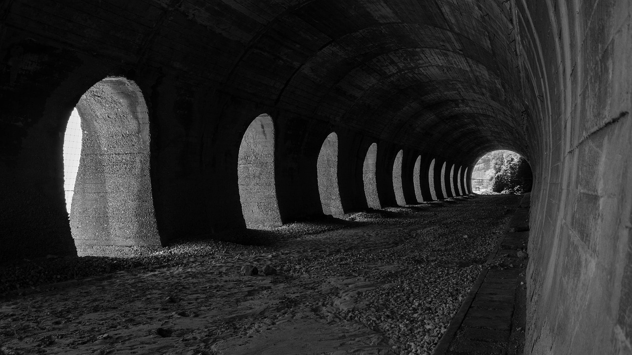 苑子豪最新動態(tài)揭秘,青年領(lǐng)袖之路的探索與無限可能