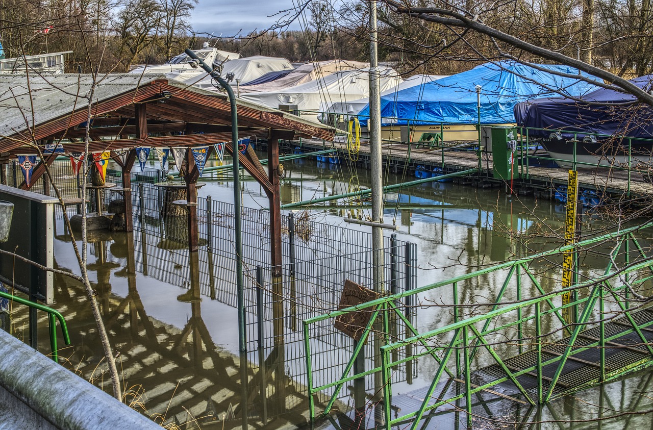 柴桑區最新發展動態概覽