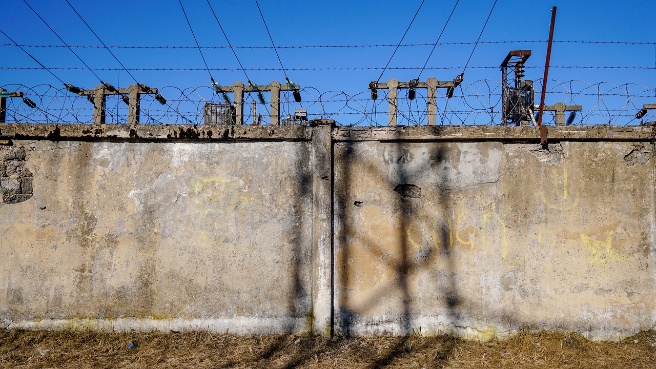 科技、經濟與社會前沿動態最新墻外消息速遞