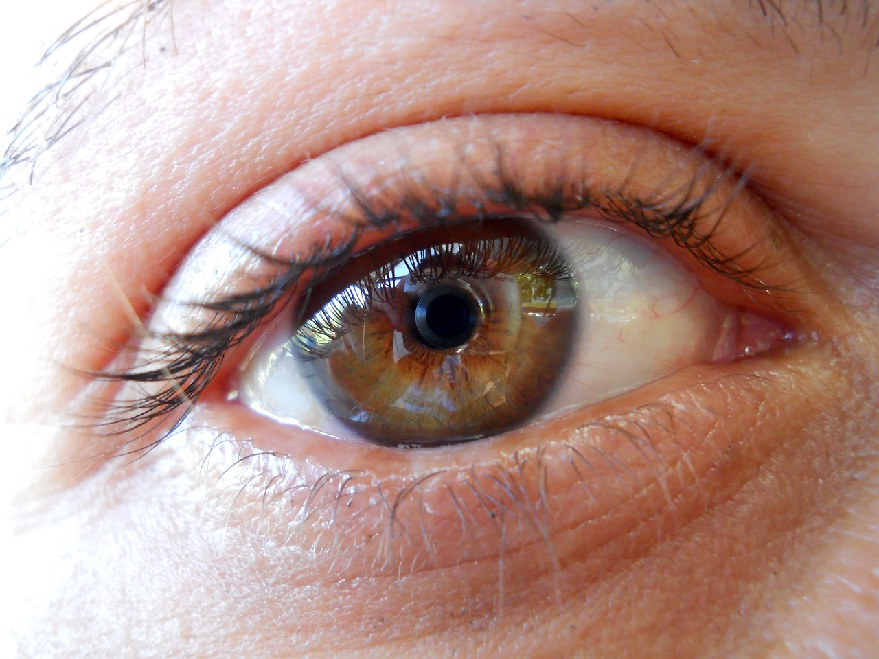 淺笑輕吟夢一曲 第21頁