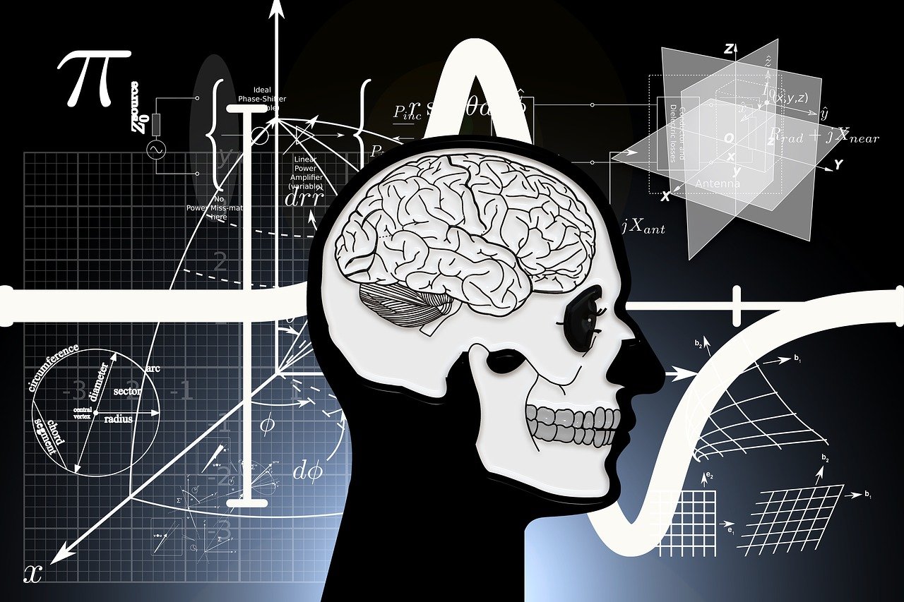 最新骨轉針技術，重塑骨骼健康的革命性工具，引領未來治療新篇章